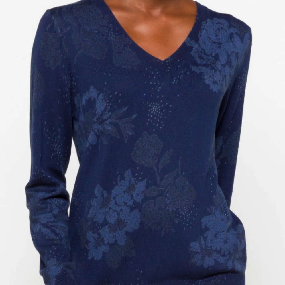 Daniel Rainn Ari V Neck Sweater Size XS